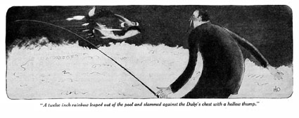 A twelve-inch rainbow leaped out of the pool and slammed against the Duke's chest with a hollow thump.