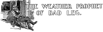 'The Weather Prophet of Bad Leg' by Ellis Parker Butler