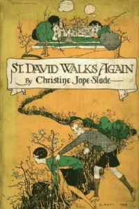 stdavidwalksagain.jpg (156302 bytes)