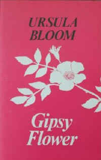 gipsyflower.jpg (18963 bytes)